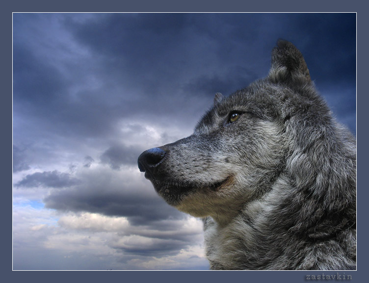 Click on image to view it in another window