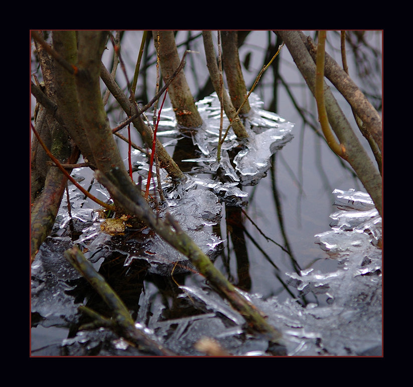 Click on image to view it in another window