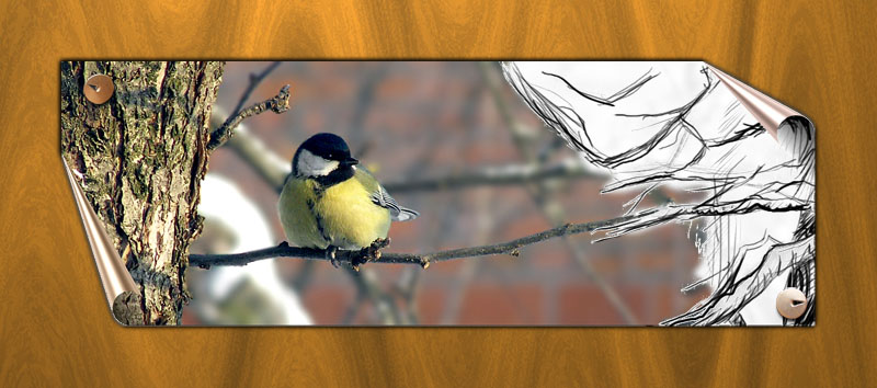 Click on image to view it in another window