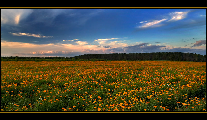 Click on image to view it in another window
