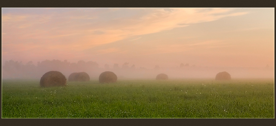 Click on image to view it in another window