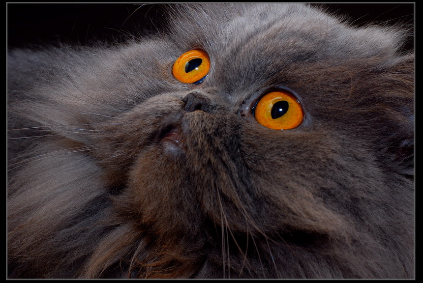Click on image to view it in another window