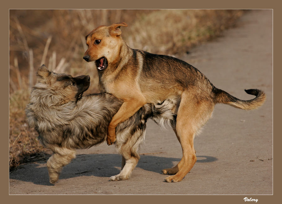 Click on image to view it in another window