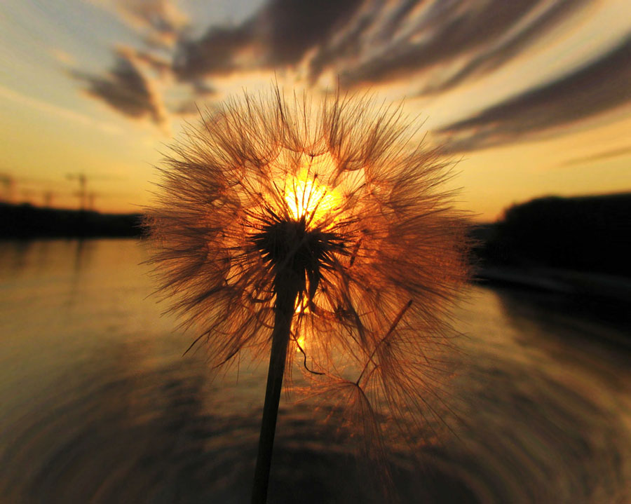 Click on image to view it in another window