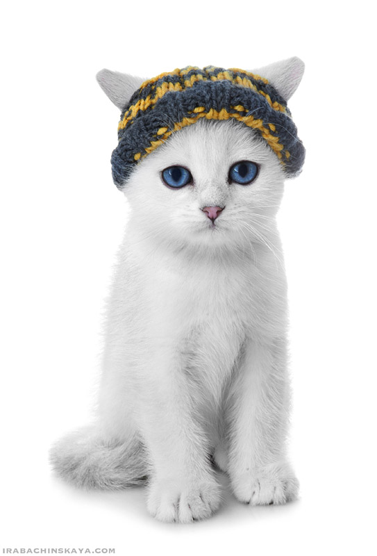 Click on image to view it in another window