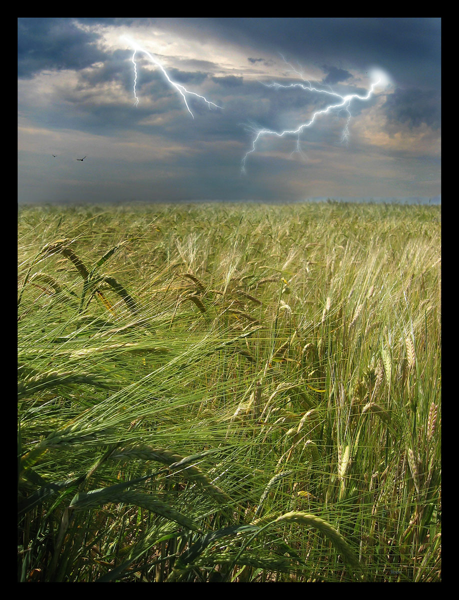 Click on image to view it in another window
