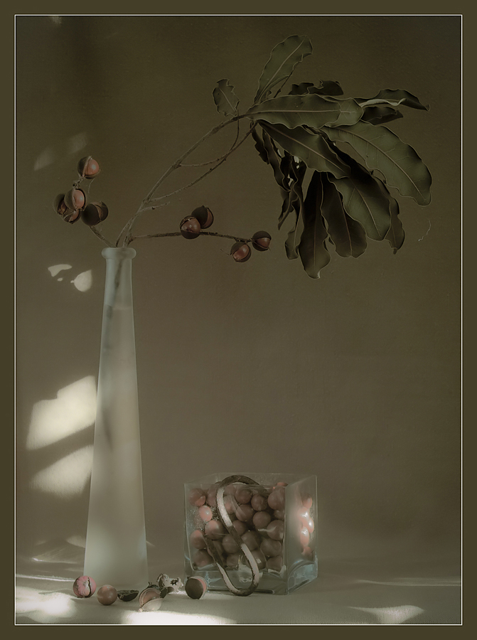 Click on image to view it in another window