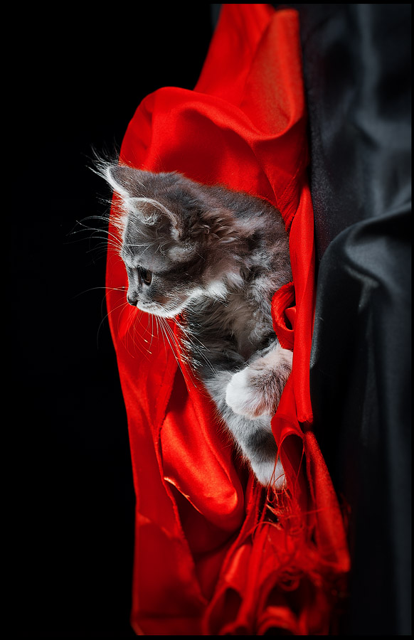 Click on image to view it in another window