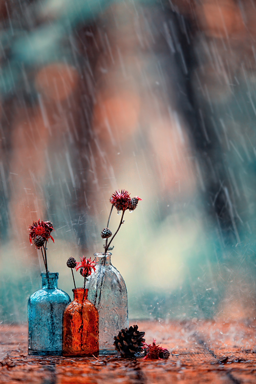 Click on image to view it in another window