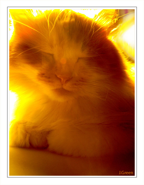 Click on image to view it in another window